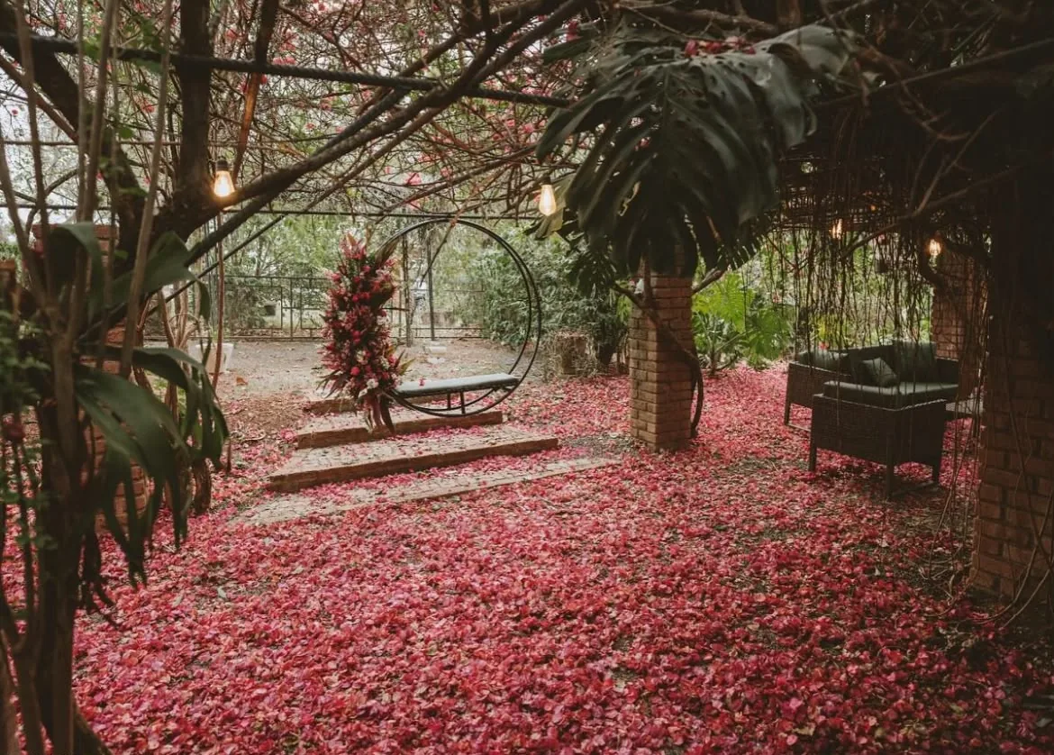 Jardim coberto de pétalas com balanço e lounge externo